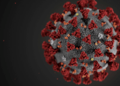Обнаружена поддельная карта коронавирусных угроз